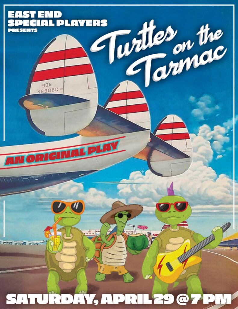 turtles on the tarmac poster